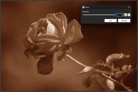 paint.net 5.0 is now available! – paint.net blog.